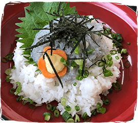 姫路市網干魚吹津内のしらす・海鮮丼のお食事処「海幸」